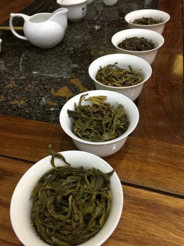 phoenix dan cong oolong by meimei fine teas