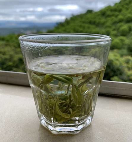 a cup of green tea meimei fine teas