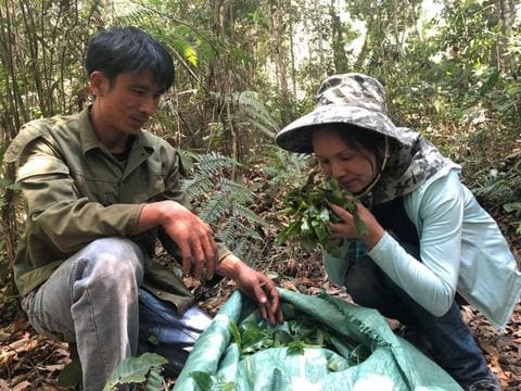 Meimei Fine Teas Tea Souring Journey