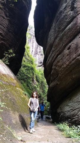 Wuyi rock oolong tea shui lian dong rou gui 
