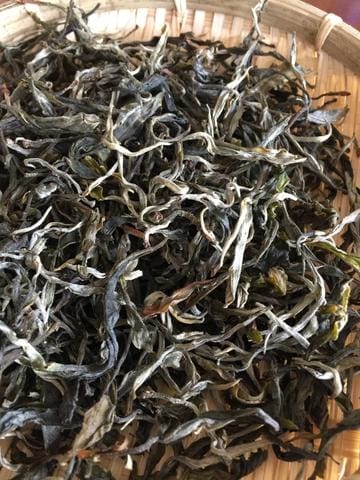 Sheng pu'erh tea mao cha raw green puer Yunnan Bulang Shan