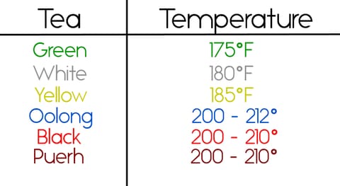 beginner's guide