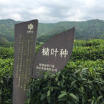 Award-Winning Imperial Keemun Gongfu Black Tea