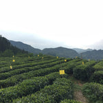 Award-Winning Imperial Keemun Gongfu Black Tea