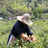 Award-Winning Imperial Keemun Gongfu Black Tea