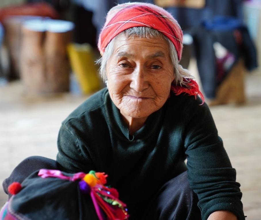 Nannuo Mountain Arbor Tree Pu-erh Black Tea Dragon Pearls