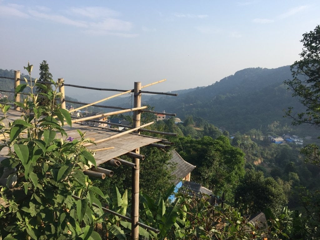 Nannuo Mountain Arbor Tree Pu-erh Black Tea Dragon Pearls