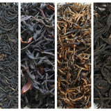 Premium Black Tea Sampler