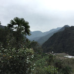 Tong Mu Guan Lapsang Souchong Old Bush Black Tea Lao Cong Hong Cha