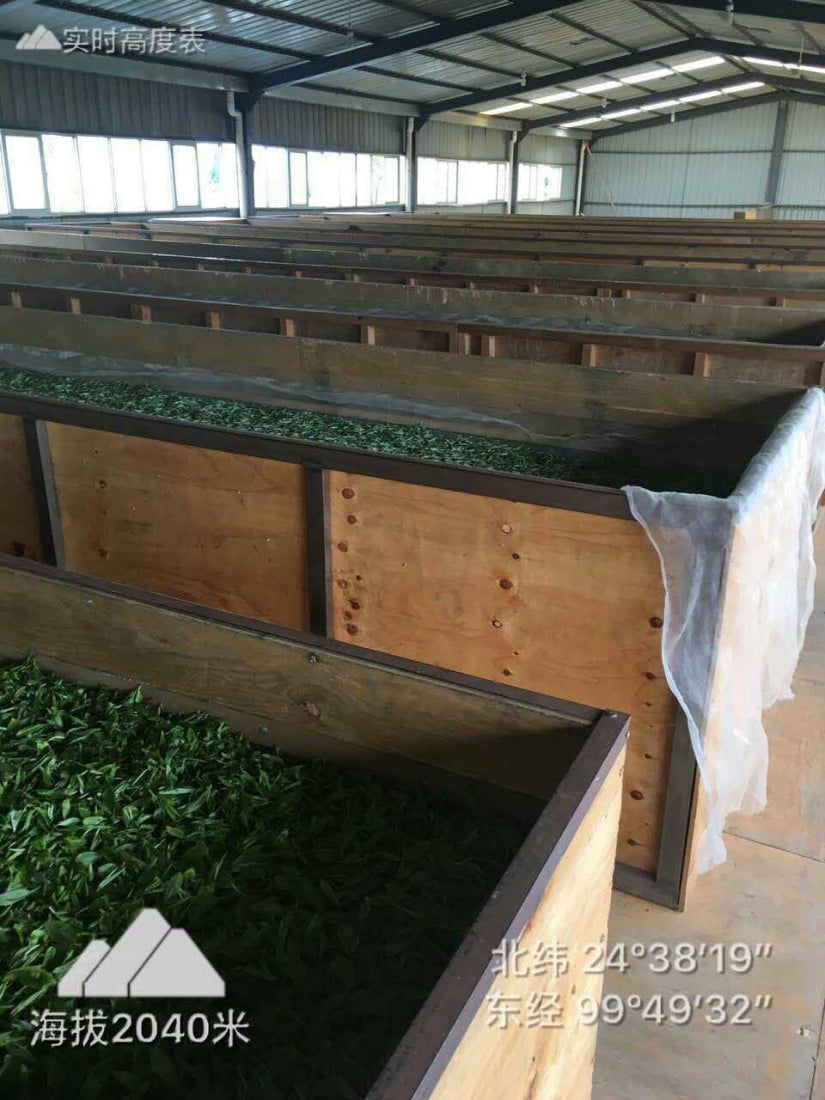 Black Tea - Top Grade Yunnan Gold Tips Black Tea Dian Hong Jing Ya -