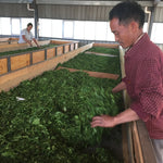 Yunnan Golden Buds Gongfu Black Tea Top Grade Dian Hong Jing Ya