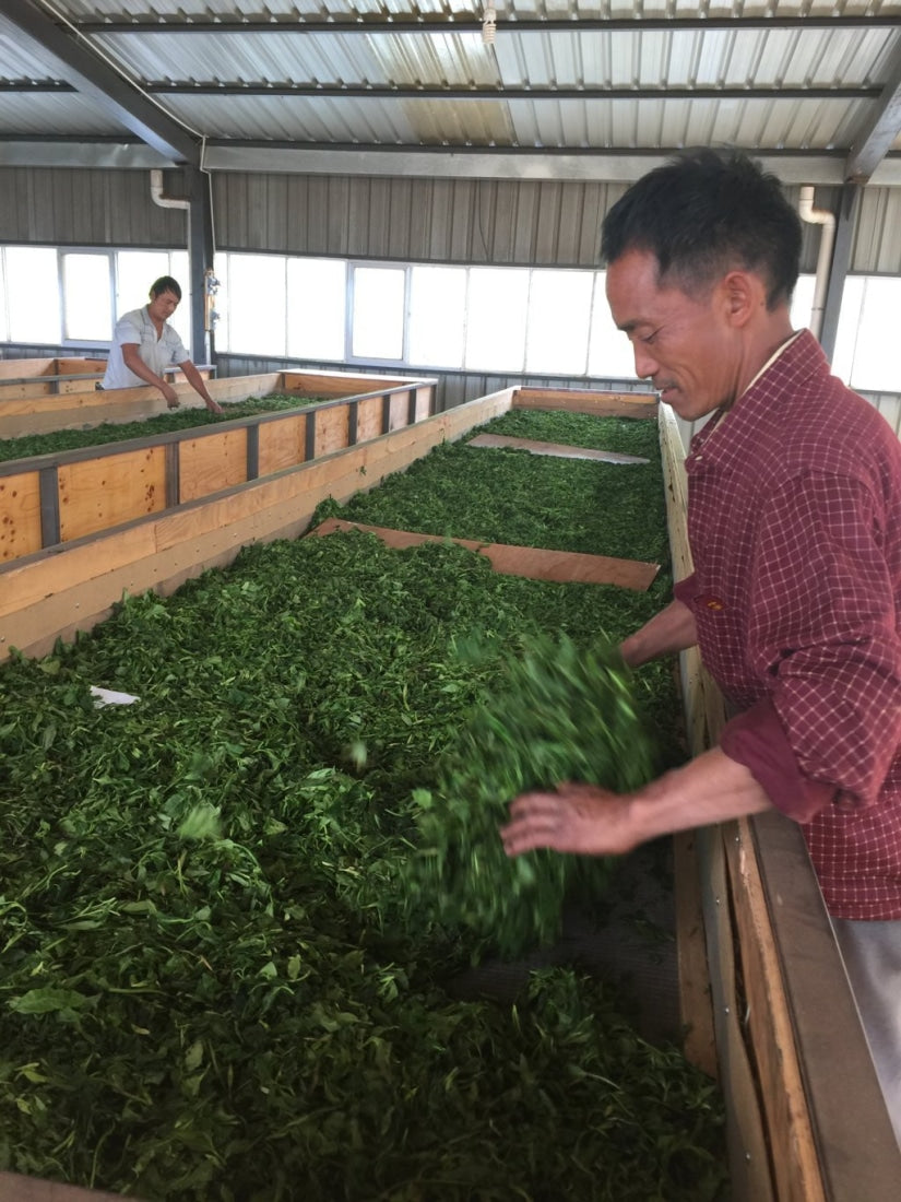 Black Tea - Top Grade Yunnan Gold Tips Black Tea Dian Hong Jing Ya -