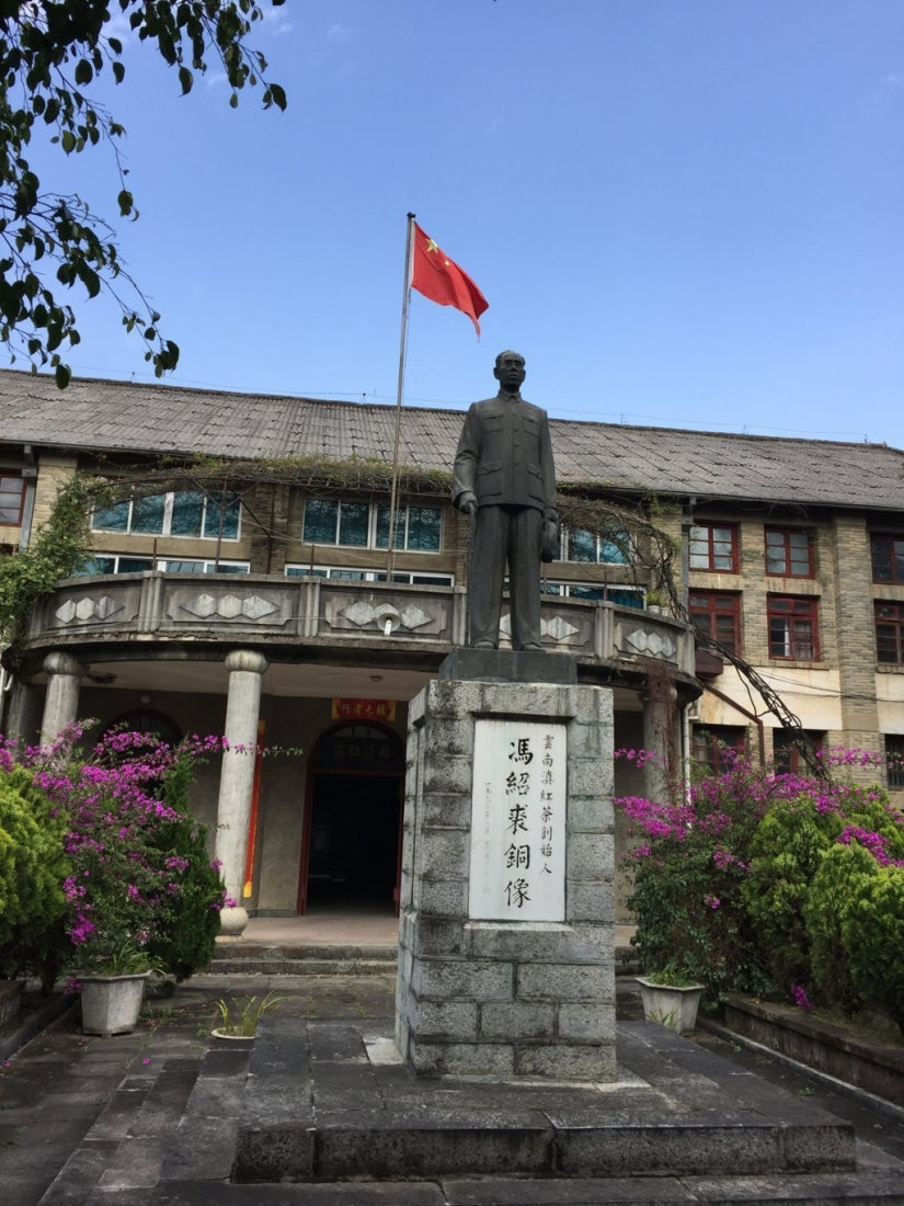 Yunnan Golden Buds Gongfu Black Tea Top Grade Dian Hong Jing Ya