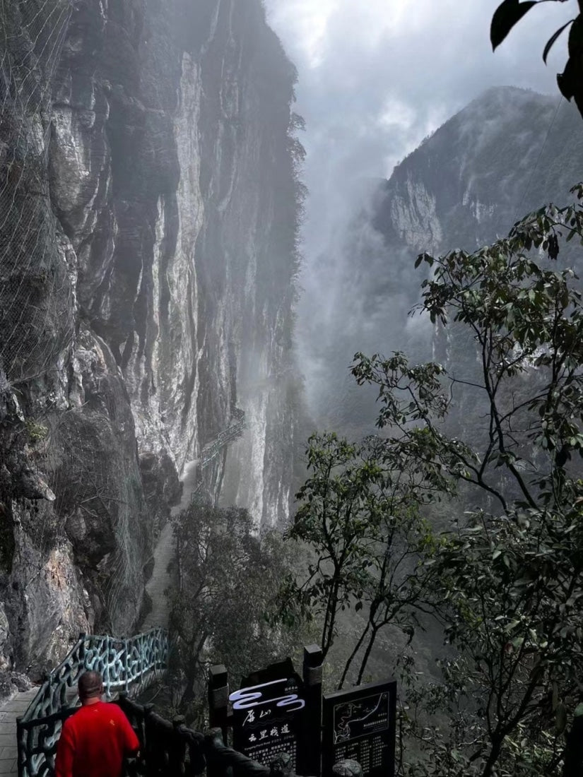 Wild Grown Lichuan Black Tea