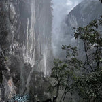 Wild Grown Lichuan Black Tea