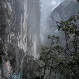 Wild Grown Lichuan Black Tea