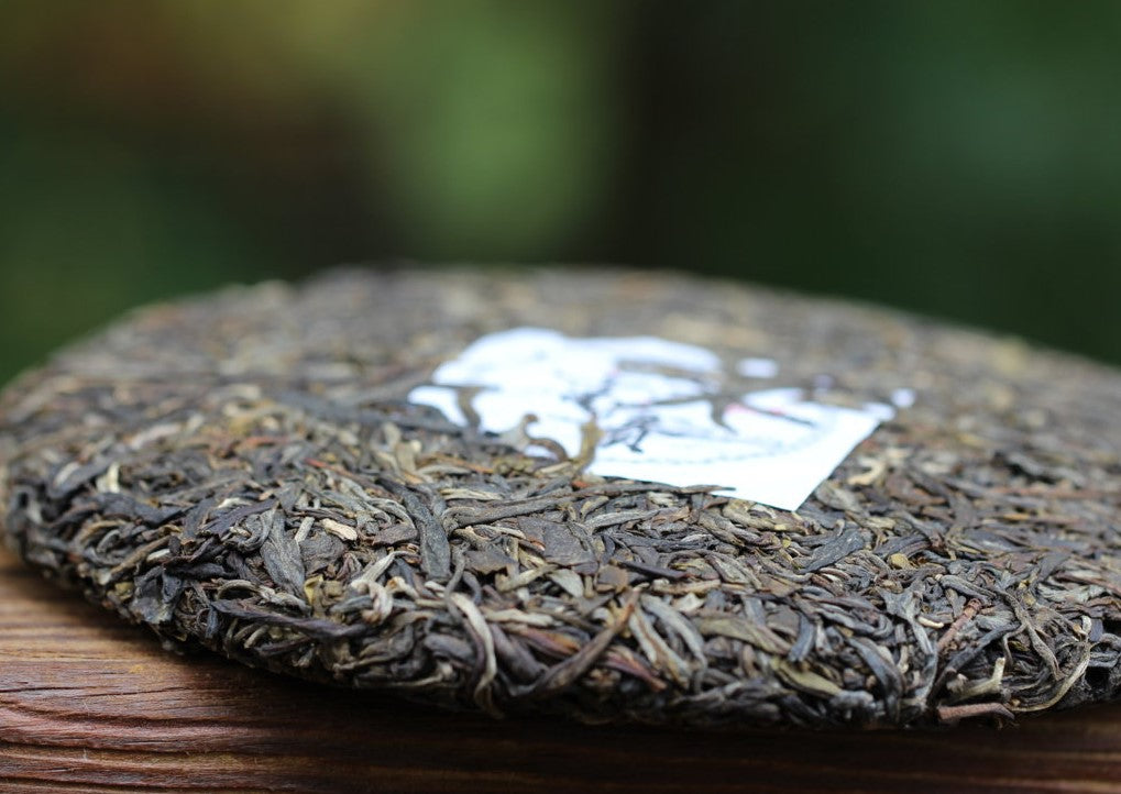 Breaking off Pu'erh Cake Leaves