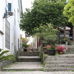 Authentic Mei Jia Wu West Lake Dragon Well Xi Hu Long Jing Green Tea