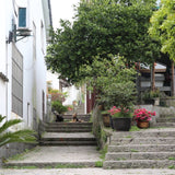 Authentic Mei Jia Wu West Lake Dragon Well Xi Hu Long Jing Green Tea