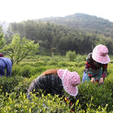 Award-Winning Artisan Lu An Gua Pian Green Tea Sunflower Seeds