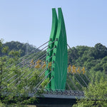 Award-Winning Artisan Lu An Gua Pian Green Tea Sunflower Seeds