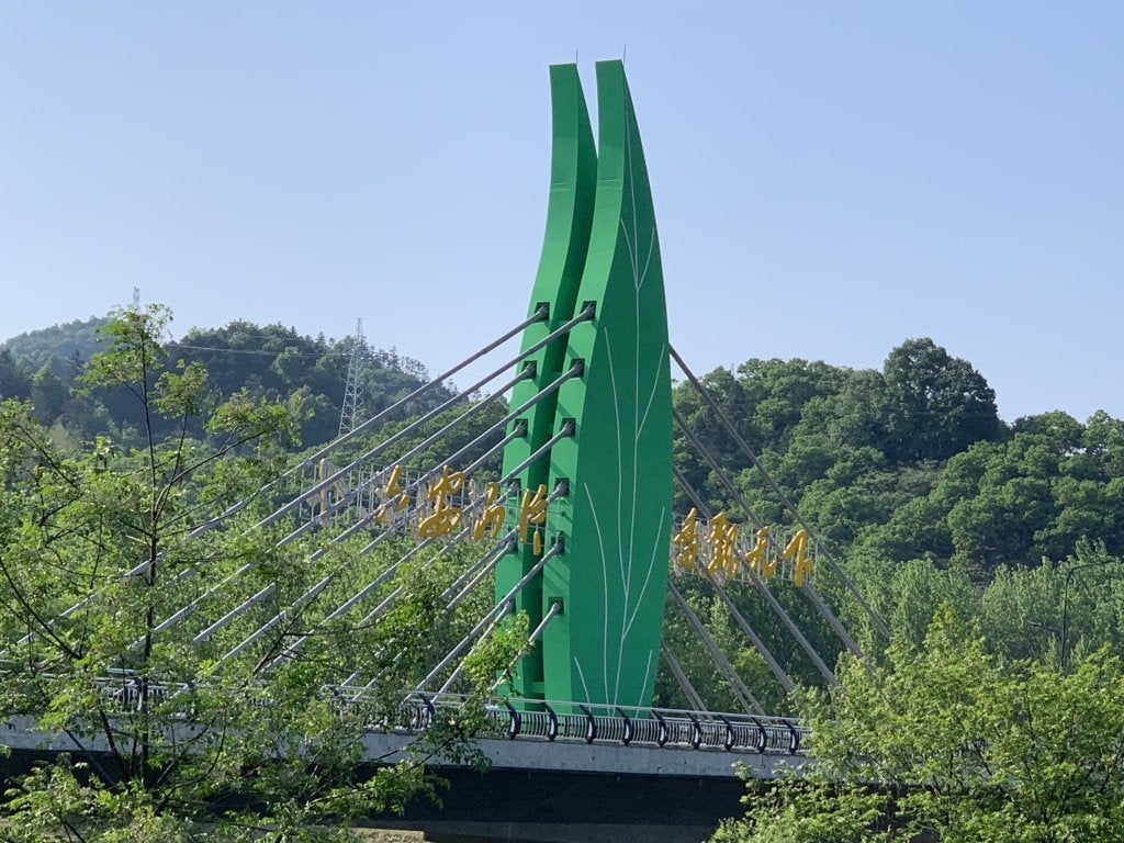 Award-Winning Artisan Lu An Gua Pian Green Tea Sunflower Seeds