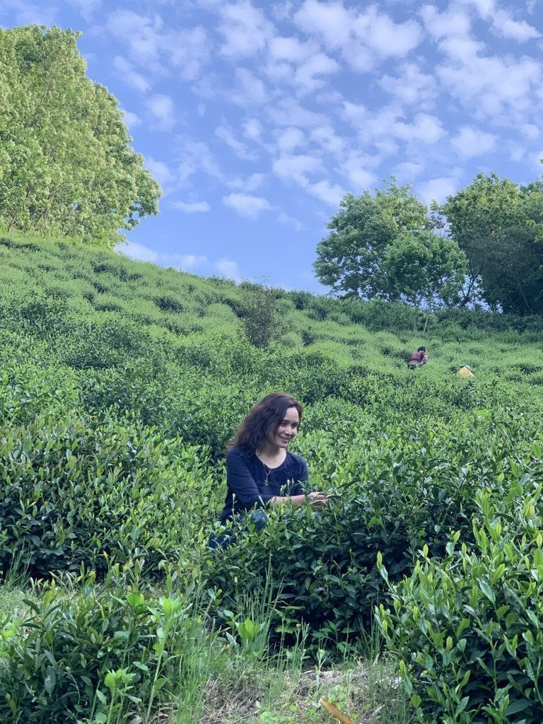 Award-Winning Artisan Lu An Gua Pian Green Tea Sunflower Seeds