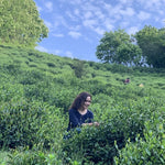 Award-Winning Artisan Lu An Gua Pian Green Tea Sunflower Seeds