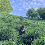 Award-Winning Artisan Lu An Gua Pian Green Tea Sunflower Seeds