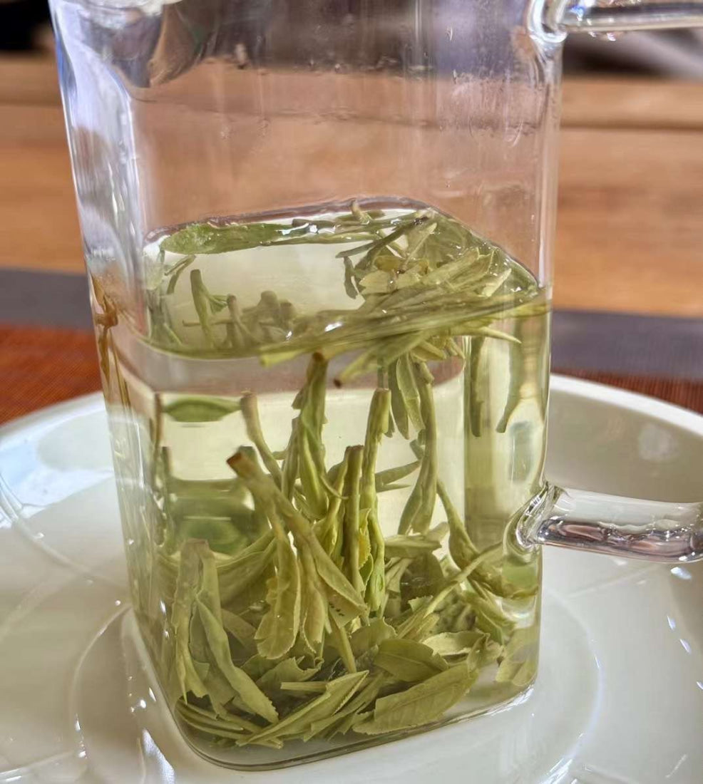 Award-winning Old Bush Dragon Well Green Tea Long Jing