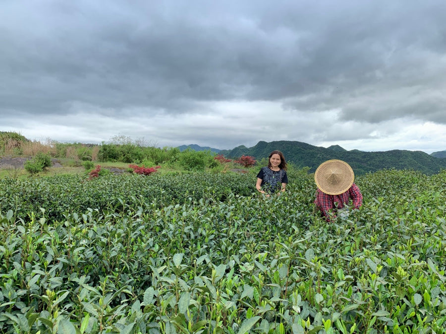 Award-winning Floral Pre-ming Dragon Well Green Tea Long Jing