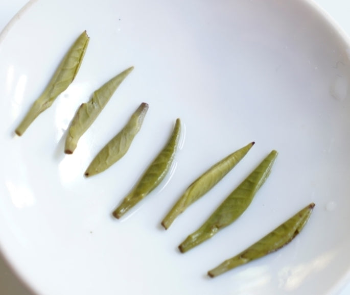 Early Spring Bamboo Tips Green Tea Zhu Ye Qing