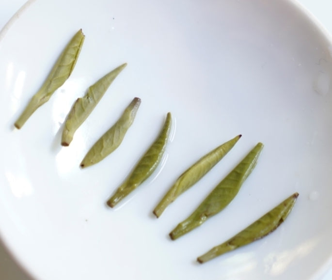 Green Tea - Early Spring Bamboo Tips Zhu Ye Qing MeiMei Fine Teas