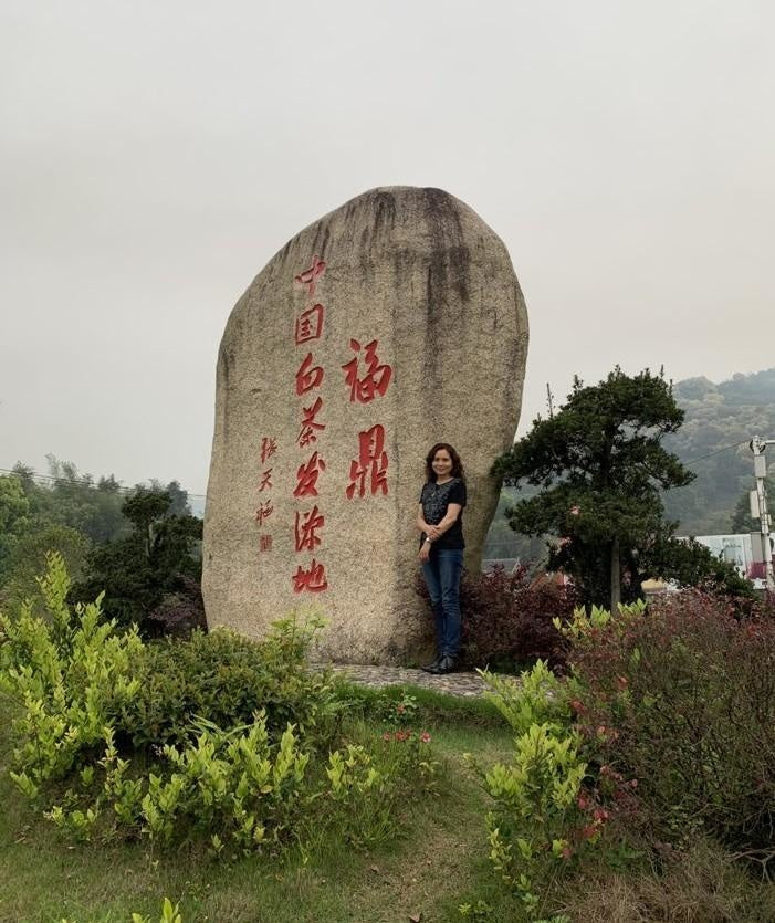 Fuding Premium Jasmine Loose Leaf Tea