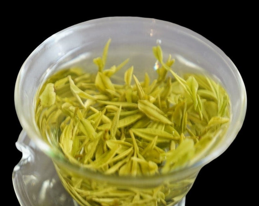 Authentic Top Grade Anji Bai Cha Green Tea