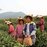 Authentic Top Grade Anji Bai Cha Green Tea