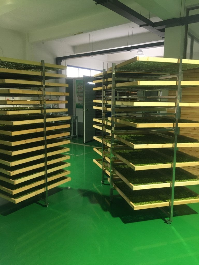 High Mountain Heirloom Dragon Well Green Tea Long Jing