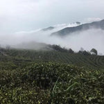 High Mountain Premium Enshi Jade Dew Green Tea Selenium-Rich