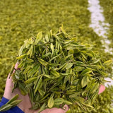 High Mountain Premium Enshi Jade Dew Green Tea Selenium-Rich