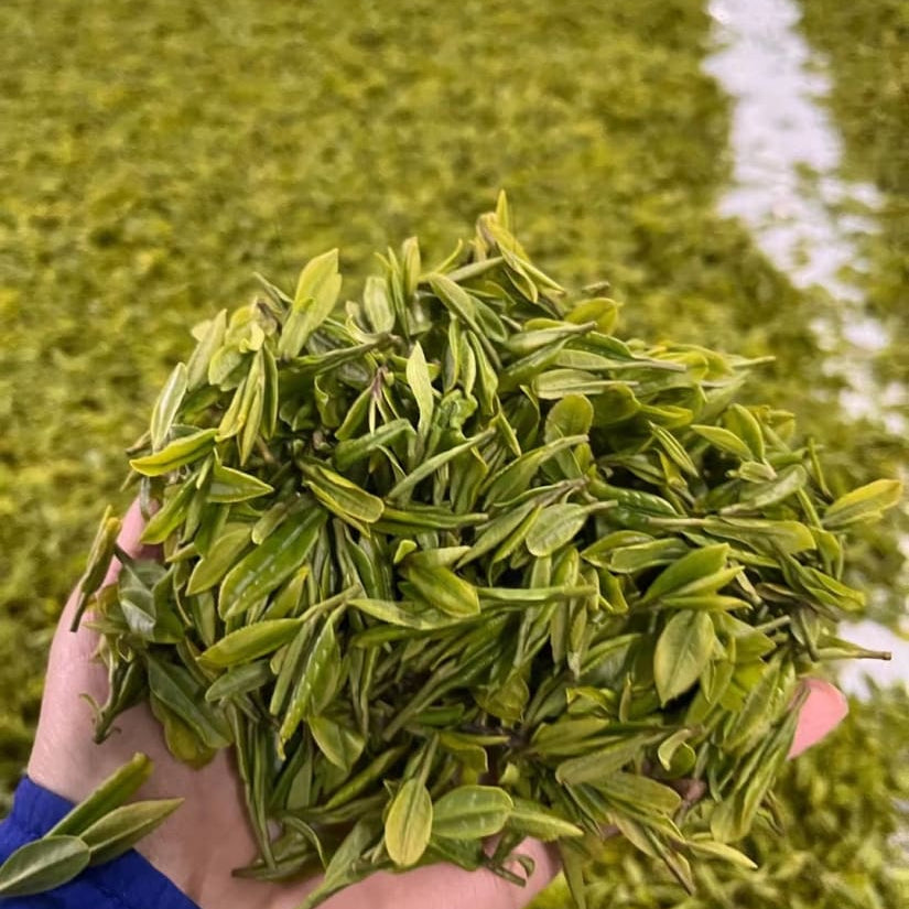 High Mountain Premium Enshi Jade Dew Green Tea Selenium-Rich