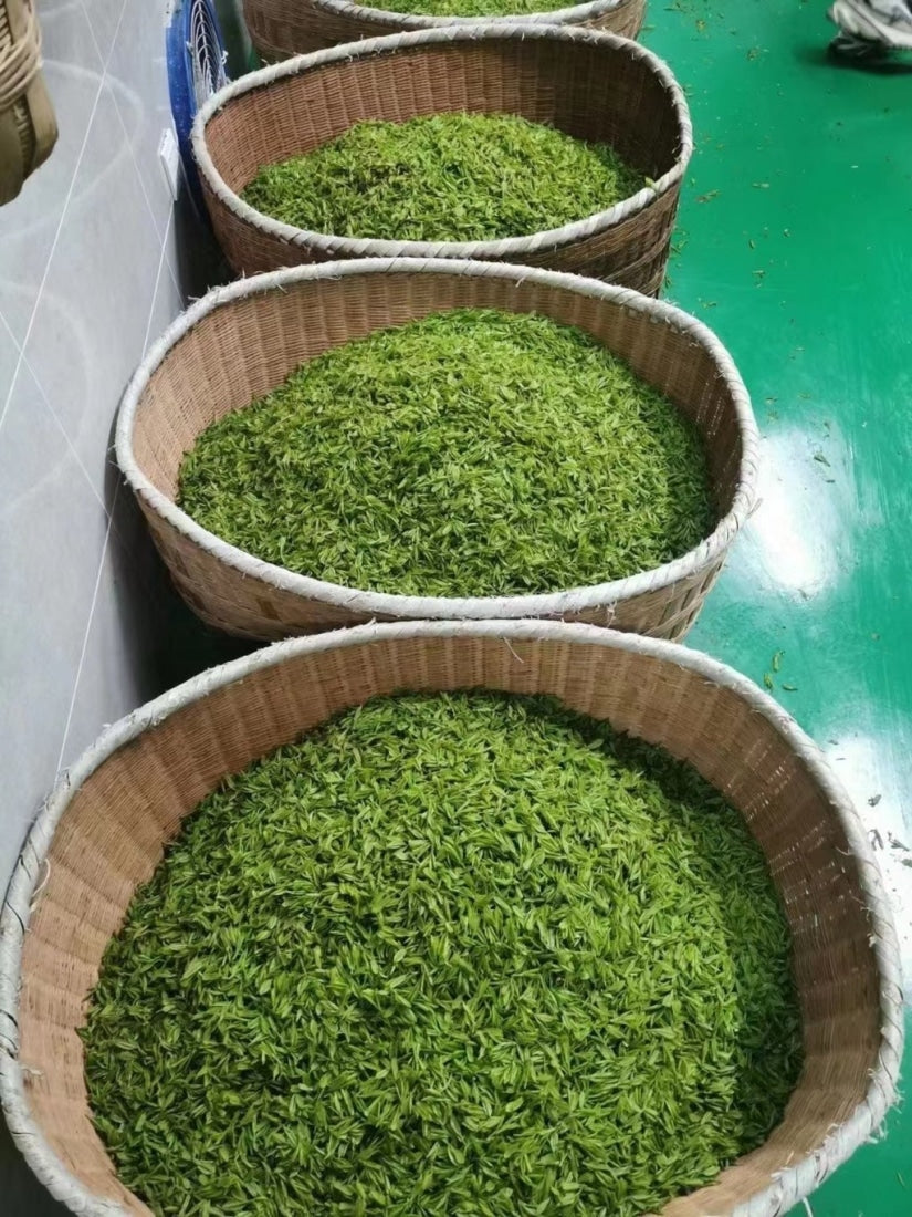 Green Tea - High Mountain Premium Enshi Jade Dew Selenium-Rich Green