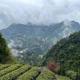 Organic Enshi Yu Lu Jade Dew Selenium-rich Green Tea