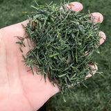 Organic Enshi Yu Lu Jade Dew Selenium-rich Green Tea