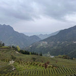 Organic Enshi Yu Lu Jade Dew Selenium-rich Green Tea