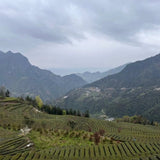 Organic Enshi Yu Lu Jade Dew Selenium-rich Green Tea