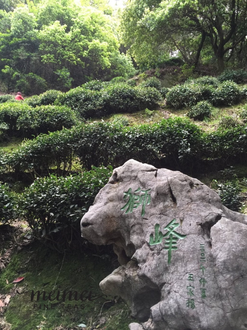 Green Tea - Shi Feng Long Jing Lion’s Peak Dragonwell Green Tea