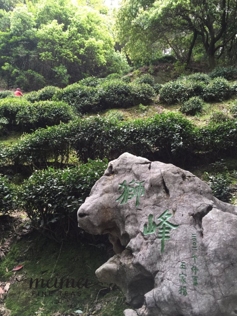 Green Tea - Shi Feng Long Jing Lion’s Peak Dragonwell Green Tea -