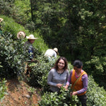 Super Grade Huang Shan Mao Feng Yellow Mountain Green Tea