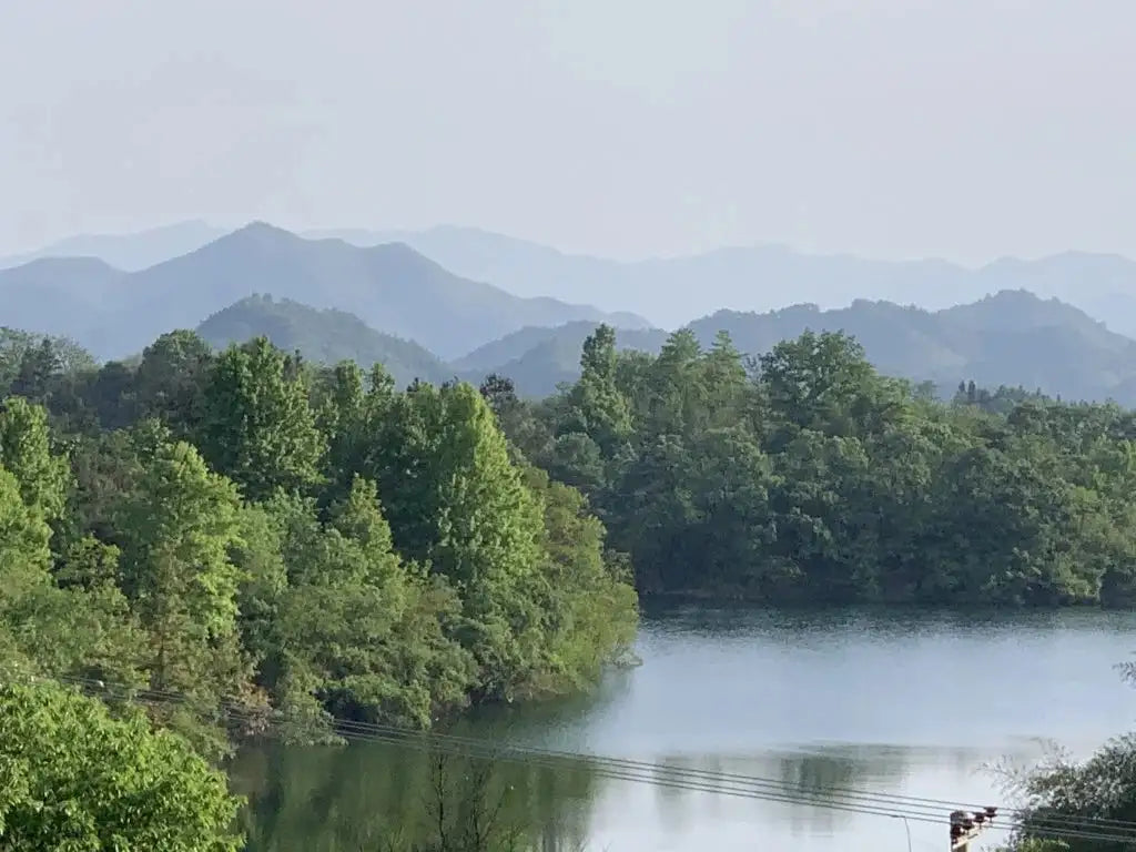 A serene lake surrounded by lush green trees with distant, misty mountains in the background.