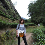 Award-winning Floral Shui Xian Wuyi Rock Oolong Tea Zhen Yan Narcissus